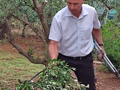 Škola kalemljenja vinove loze i masline