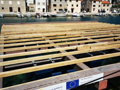 ŠKOLJKARSTVO - Mladi profesori uzgojili prve europske plosnate kamenice u Novigradskom moru ŠKOLJKARSTVO - Mladi profesori uzgojili prve europske plosnate kamenice u Novigradskom moru