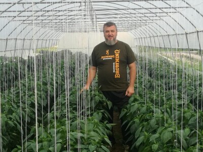 Skoncentrišite se na domaću proizvododnju i proizvodite vlastito povrće