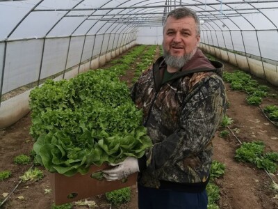 Skoncentrišite se na domaću proizvododnju i proizvodite vlastito povrće