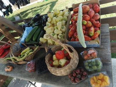 Skoncentrišite se na domaću proizvododnju i proizvodite vlastito povrće