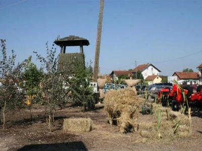 Skulpture od slame