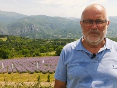 Skulpture "procvetale" u polju lavande