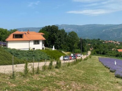 Skulpture "procvetale" u polju lavande