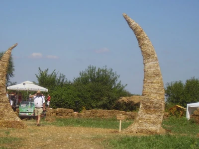 Slama 2010.