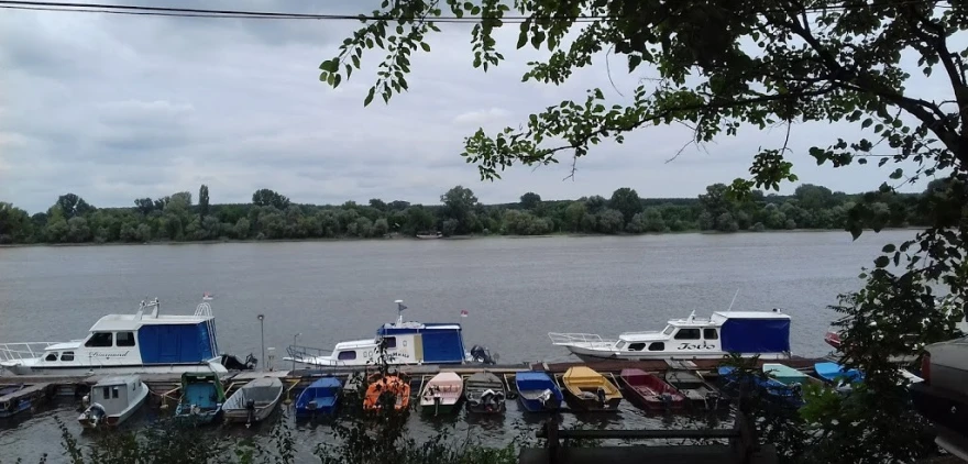 Dunav