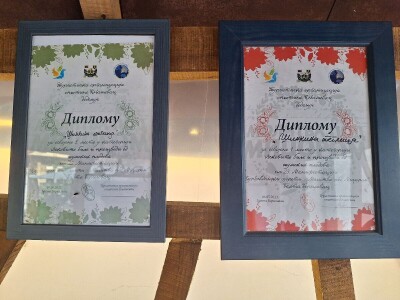 Slatko od ljubičica