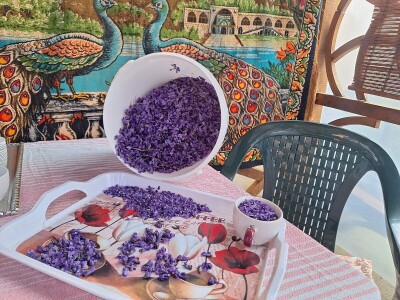 Slatko od ljubičica