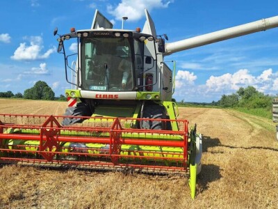 Slaven Puzjak - početak žetve ječma Slaven Puzjak - početak žetve ječma