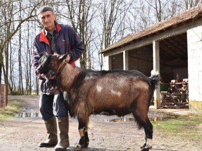 Slavko Brkić i jarac Boško