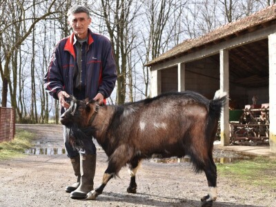 Slavko Brkić i jarac Boško