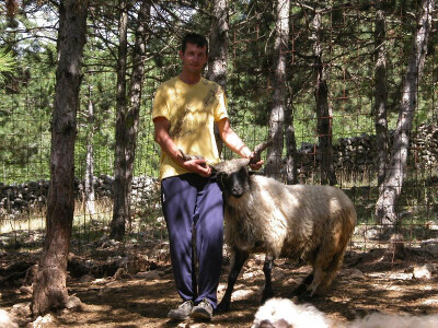 Slavko i njegov snažni ovan neobičnih rogova