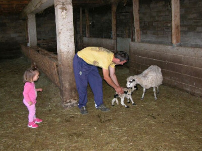 Tako se i kod djece njeguje ljubav prema stočarstvu