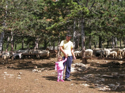 Slavko s kćerkicom Lucijom na farmi ovaca