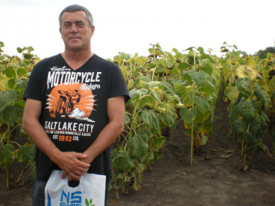 Slavoljub Jovanov, proizvođač suncokreta