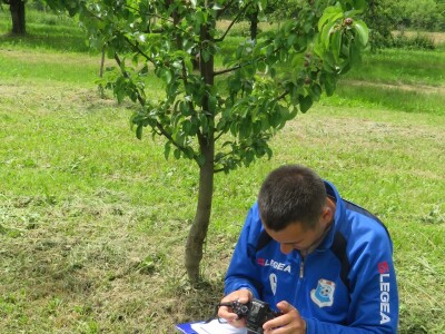 Slavonci i Vojvođani zajedno istražuju stare sorte voća Slavonci i Vojvođani zajedno istražuju stare sorte voća