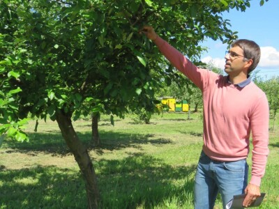 Slavonci i Vojvođani zajedno istražuju stare sorte voća Slavonci i Vojvođani zajedno istražuju stare sorte voća