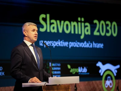 Slavonija 2030