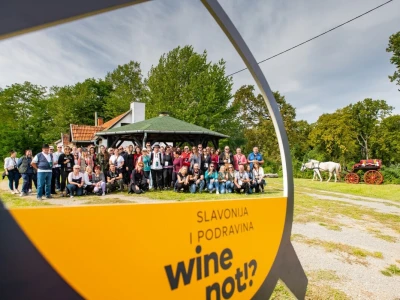 Slavonija i Podravina, Wine not!?