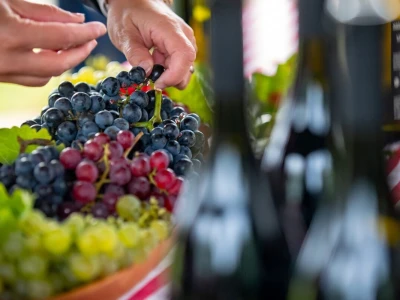 Slavonija i Podravina, Wine not!?