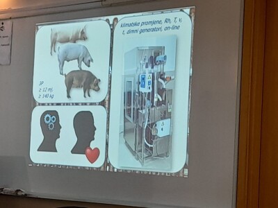 Slavonska kobasica Slavonska kobasica