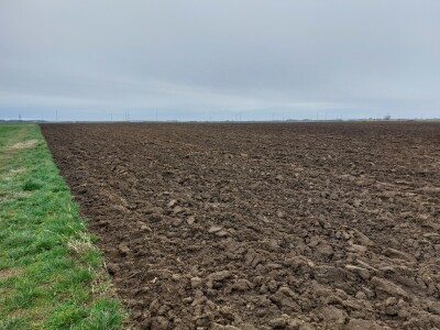 Slavonska polja prvog dana siječnja Slavonska polja prvog dana siječnja