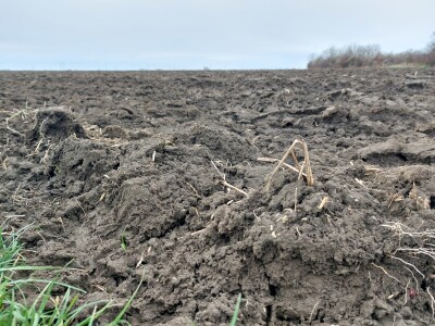 Slavonska polja prvog dana siječnja Slavonska polja prvog dana siječnja