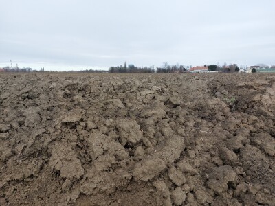 Slavonska polja prvog dana siječnja Slavonska polja prvog dana siječnja
