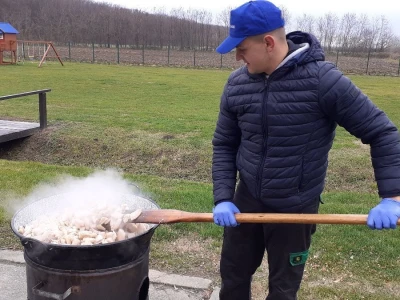 Slavonska svinjokolja