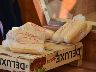 Slavonski kukuruz omiljen kod turista