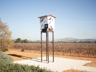 Slijepi miševi čuvaju vinograde od grožđanog moljca