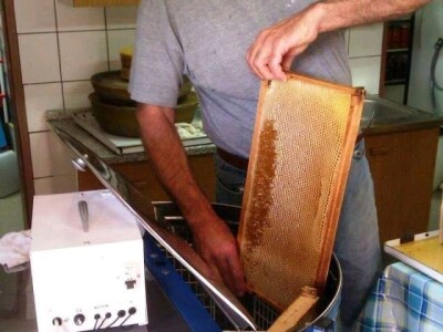 Slijepi pčelar Priljeva Slijepi pčelar Priljeva