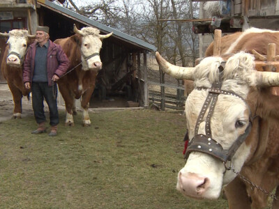Posljednji rudjaski rabadžija