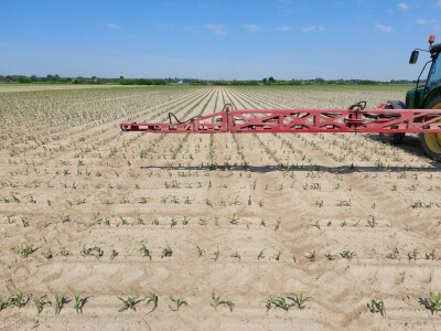 Tonale - zemljišni herbicid za kukuruz