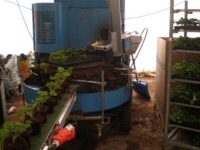 Vrtni Centar Jug Vrtni Centar Jug