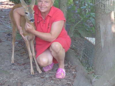 Lane Mazuljka je pronašlo novi dom