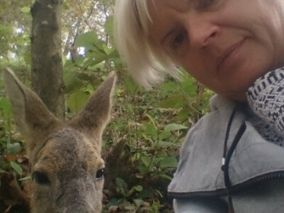 Lane Mazuljka je pronašlo novi dom Lane Mazuljka je pronašlo novi dom