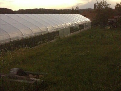 slike za OPG KREBS MARJAN