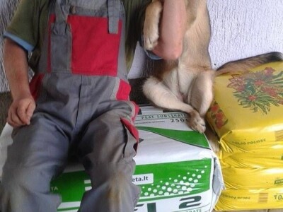 slike za OPG KREBS MARJAN