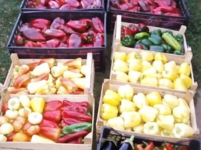 slike za OPG KREBS MARJAN