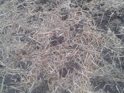 slike za OPG KREBS MARJAN