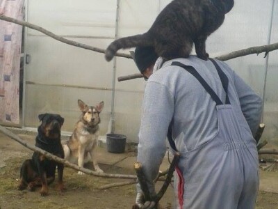 slike za OPG KREBS MARJAN