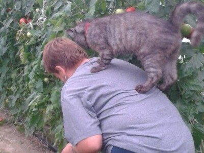 slike za OPG KREBS MARJAN