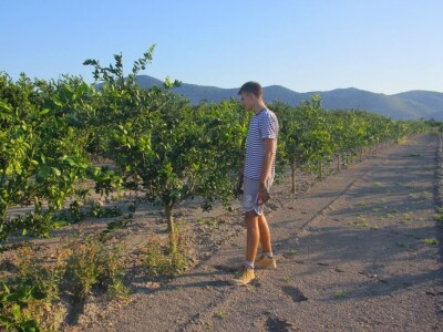 slike za OPG PROVIĆ