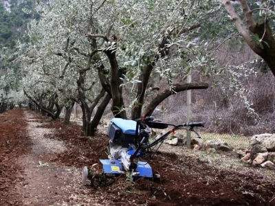 slike za OPG PROVIĆ