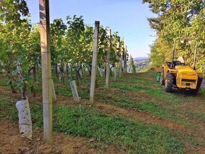 slike za tekst slike za tekst