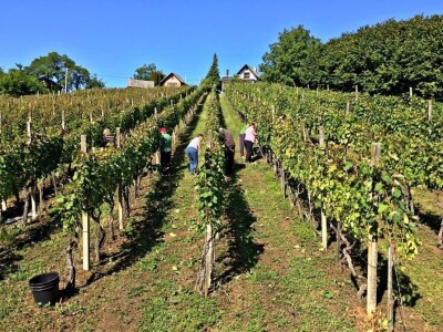 slike za tekst slike za tekst