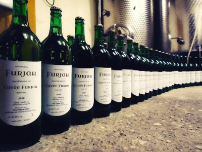 slike za tekst slike za tekst