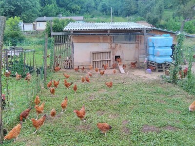 slike za tekst slike za tekst