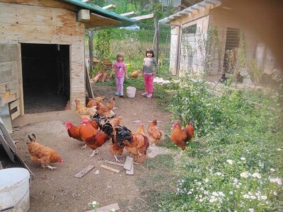 slike za tekst slike za tekst